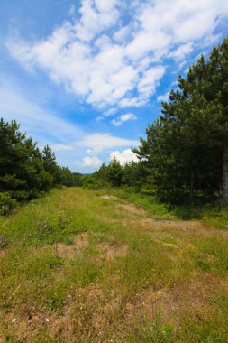 Afyon 'un Cay ve Bolvadin ilçeleri arasında yer alan Eber Gölü, Türkiye' nin 12. büyük gölüdür.