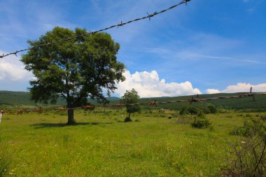 Afyon 'un Cay ve Bolvadin ilçeleri arasında yer alan Eber Gölü, Türkiye' nin 12. büyük gölüdür.