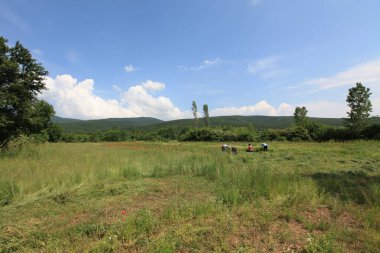 Afyon 'un Cay ve Bolvadin ilçeleri arasında yer alan Eber Gölü, Türkiye' nin 12. büyük gölüdür.