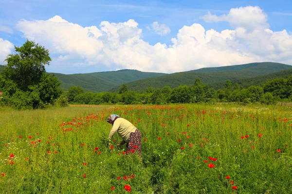 Lake Eber Gelegen Tussen Cay Bolvadin Districten Van Afyon Het — Stockfoto