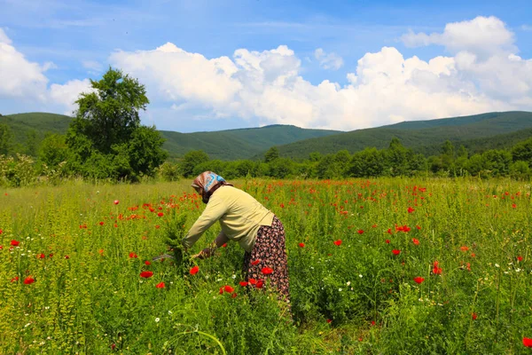 Lake Eber Gelegen Tussen Cay Bolvadin Districten Van Afyon Het — Stockfoto