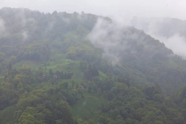 Kackar Gebirge Der Schwarzmeerregion Türkei — Stockfoto