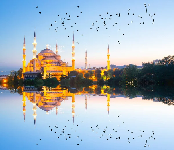 Mavi cami ve Ayasofya Camii yansıması