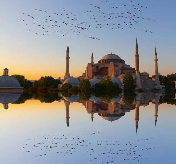 Голубая Мечеть Отражение Мечети Святой Софии — стоковое фото