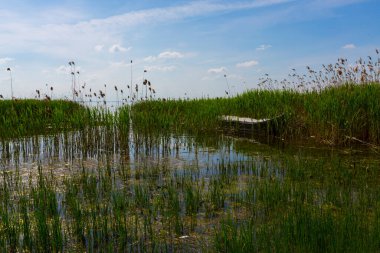 Eber Gölü, Afyon, Türkiye 'nin en büyük 11. gölüdür ancak su kaynaklarının kesilmesiyle kurumaya başlamıştır..