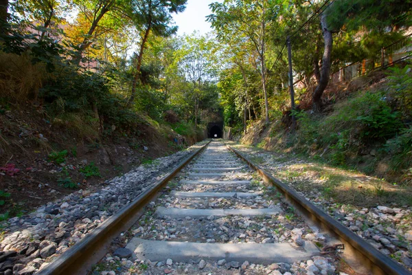 Railroad Train Tunnel — Stock Photo, Image