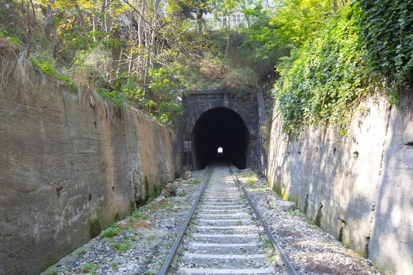 Železniční Železniční Tunel — Stock fotografie