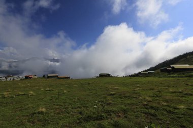 Pokut ve sal yaylası ve peyzaj / Kackar dağları, Rize