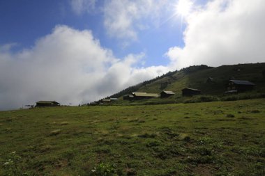 Pokut ve sal yaylası ve peyzaj / Kackar dağları, Rize