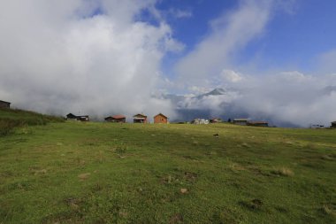 Pokut ve sal yaylası ve peyzaj / Kackar dağları, Rize