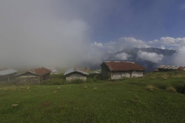 Pokut ve sal yaylası ve peyzaj / Kackar dağları, Rize