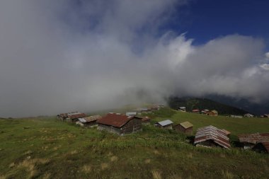 Pokut ve sal yaylası ve peyzaj / Kackar dağları, Rize
