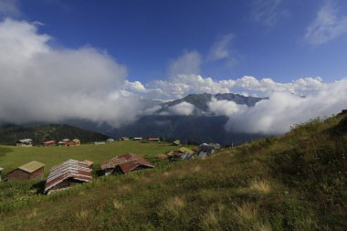 Pokut ve sal yaylası ve peyzaj / Kackar dağları, Rize