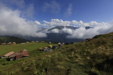 Pokut ve sal yaylası ve peyzaj / Kackar dağları, Rize