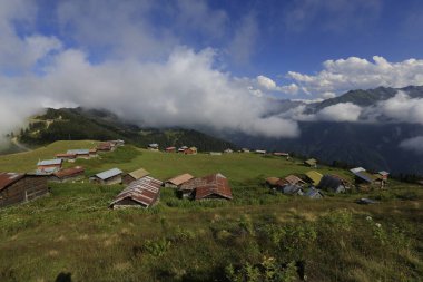 Pokut ve sal yaylası ve peyzaj / Kackar dağları, Rize