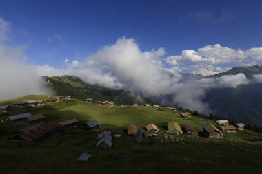 Pokut ve sal yaylası ve peyzaj / Kackar dağları, Rize