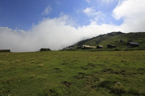 Pokut ve sal yaylası ve peyzaj / Kackar dağları, Rize