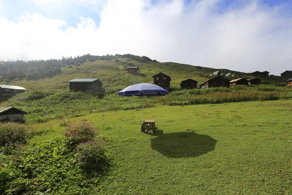 Pokut Und Floßplateau Und Landschaft Kackar Gebirge Rize — Stockfoto