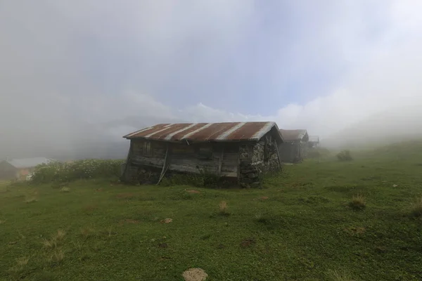 Pokut Tutaj Fennsík Táj Kackar Hegyek Rize — Stock Fotó