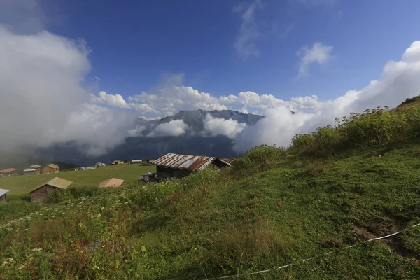 Pokut Tratwa Płaskowyż Krajobraz Góry Kackar Rize — Zdjęcie stockowe