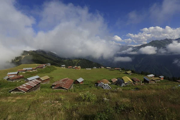 Pokut ve sal yaylası ve peyzaj / Kackar dağları, Rize