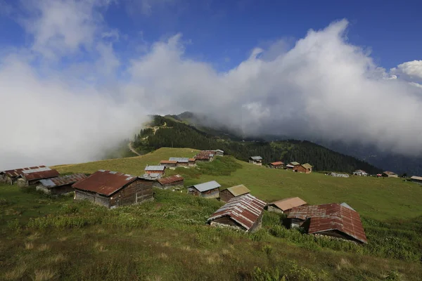 Pokut ve sal yaylası ve peyzaj / Kackar dağları, Rize