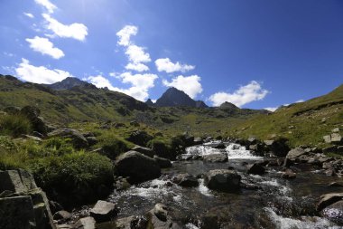 Verenik, Rize ilinin Amlhemin ilçesine bağlı bir platodur. 2600 metre yükseklikte ve 40-50 ev içeriyor..