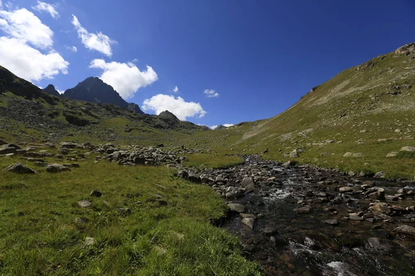 Verenik Altopiano Collegato Distretto Amlhemin Della Provincia Rize Altitudine 2600 — Foto Stock