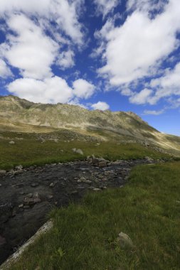 Verenik, Rize ilinin Amlhemin ilçesine bağlı bir platodur. 2600 metre yükseklikte ve 40-50 ev içeriyor..