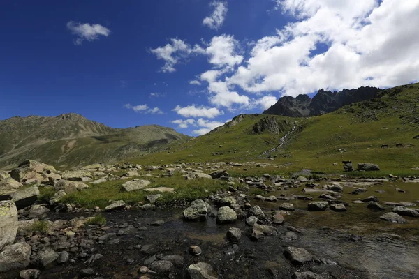 Verenik Altopiano Collegato Distretto Amlhemin Della Provincia Rize Altitudine 2600 — Foto Stock