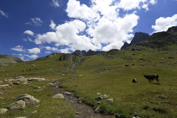 Verenik Est Plateau Relié District Amlhémine Province Rize Est Une — Photo