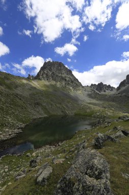 Verenik, Rize ilinin Amlhemin ilçesine bağlı bir platodur. 2600 metre yükseklikte ve 40-50 ev içeriyor..