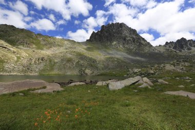 Verenik, Rize ilinin Amlhemin ilçesine bağlı bir platodur. 2600 metre yükseklikte ve 40-50 ev içeriyor..