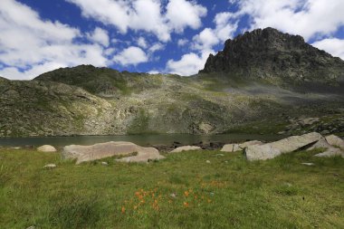 Verenik, Rize ilinin Amlhemin ilçesine bağlı bir platodur. 2600 metre yükseklikte ve 40-50 ev içeriyor..