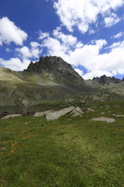 Verenik, Rize ilinin Amlhemin ilçesine bağlı bir platodur. 2600 metre yükseklikte ve 40-50 ev içeriyor..