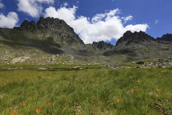 Verenik Altopiano Collegato Distretto Amlhemin Della Provincia Rize Altitudine 2600 — Foto Stock