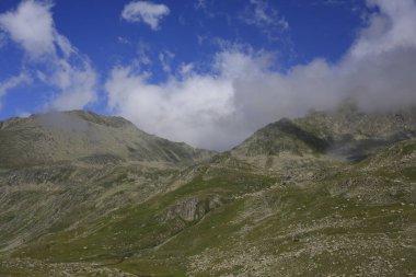 Verenik, Rize ilinin Amlhemin ilçesine bağlı bir platodur. 2600 metre yükseklikte ve 40-50 ev içeriyor..