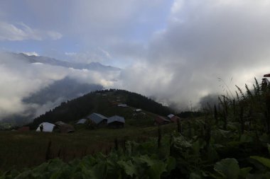 Pokut ve sal Platosu, Kackar Dağları ve Peyzaj
