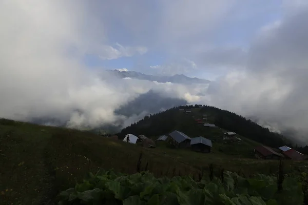 Pokut Planalto Sal Montanhas Kackar Paisagem — Fotografia de Stock