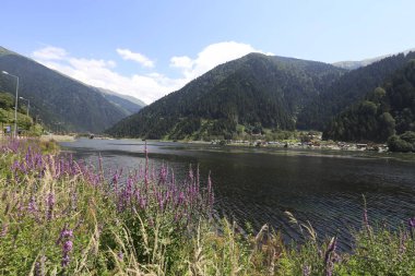 Trabzon Uzungl ve Karester Platosu