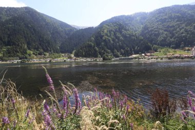 Trabzon Uzungl ve Karester Platosu