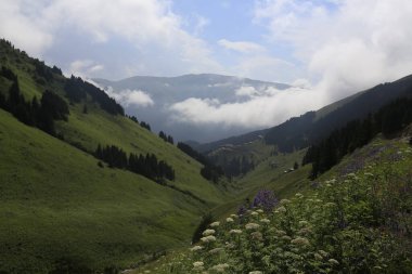 Trabzon Uzungl ve Karester Platosu