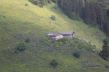 Trabzon Uzungl ve Karester Platosu