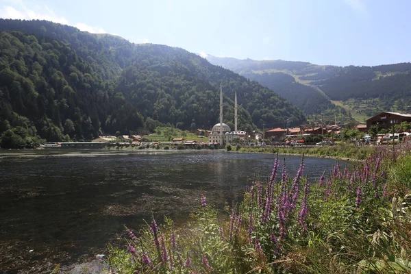 Trabzon Uzungl Meseta Karester — Foto de Stock