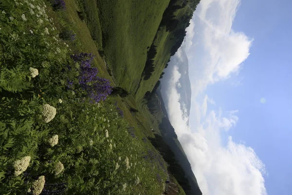Trabzon Uzungl Karester Plateau — Fotografia de Stock
