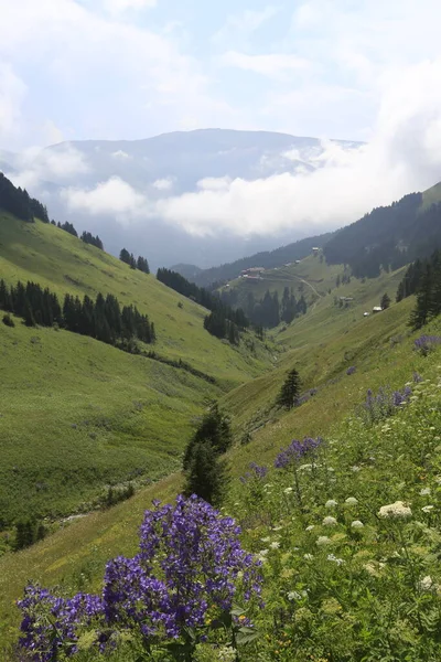 Trabzon Uzungl Karester Plateau — Fotografia de Stock