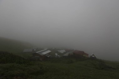 Gito Platosu, Karadeniz 'in en barışçıl faaliyetlerinden biri olarak doğayı seven herkesin hayatında en az bir kez yaşaması gereken bir yerdir..