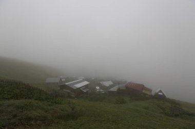 Gito Platosu, Karadeniz 'in en barışçıl faaliyetlerinden biri olarak doğayı seven herkesin hayatında en az bir kez yaşaması gereken bir yerdir..