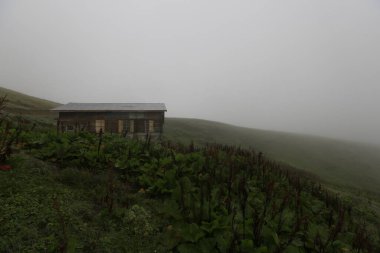 Gito Platosu, Karadeniz 'in en barışçıl faaliyetlerinden biri olarak doğayı seven herkesin hayatında en az bir kez yaşaması gereken bir yerdir..