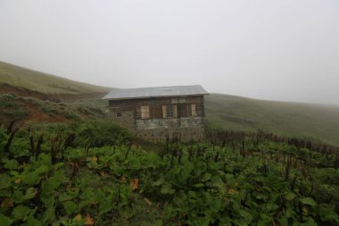 Gito Platosu, Karadeniz 'in en barışçıl faaliyetlerinden biri olarak doğayı seven herkesin hayatında en az bir kez yaşaması gereken bir yerdir..